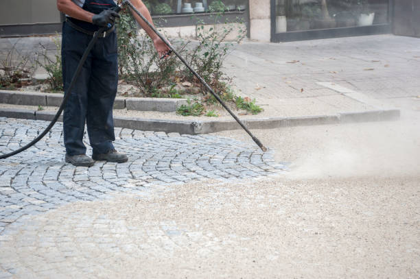 Best Pre-Holiday Cleaning  in Port Chester, NY